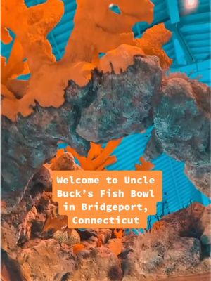 Bowling under the sea in CT😍🎳🐠 #bridgeportct #bassproshops #thingstodoinct #fyp #viral 