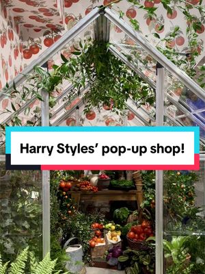 Weeeeee belong togetherrrrrr (at the #HarryStyles pop-up shop)! 🩷🩵  @American Express invited us to an exclusive preview of Harry Styles' pop-up in celebration of his new album, Kiss All The Time. Disco, Occasionally. We saw all the merch, photo ops, and the AmEx gift with purchase. The pop-up is located at 106 North 6th Street in Brooklyn, NY from March 6 through March 12, with AmEx card member early access hours each day! If you went, what merch items did you get and what is your favorite track off of #HS4?! #Brooklyn #KATTDO #popup @HSHQ 