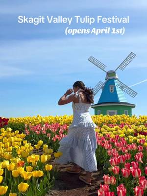 Pacific Northwest Friends 👯‍♀️ - add this charming tulip field to your spring PNW bucket list! The Skagit Valley Tulip Festival opens April 1st.  Garden Rosalyn📍16648 Jungquist Rd, Mount Vernon, WA 98273 (video trom last spring) Garden Rosalyn is a charming country-style tulip field in the Skagit Valley. While this tulip field is one of the smaller fields (around 7 acres), Garden Rosalyn is beautifully designed. I love how they created the intentional walking paths, and it wasn't as crowded as the other tulip fields in the area.  The windmill is also such a great focal point in the tulip field. Additionally, this tulip field is pet-friendly! 🐶 Visiting Garden Rosalyn was one of the highlights of last spring. I highly recommend adding this tulip field to your Skagit Valley itinerary.  #skagitvalley #tulips #pnwlife #seattletiktok #washington  