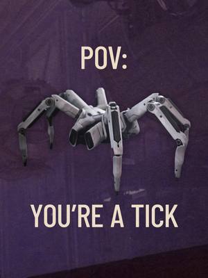 POV: You are a Tick 🕷️ #ARCRaiders #Arcraidersgame #enlistresist