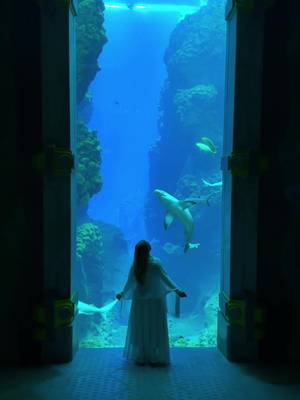 You & me + aquarium date? 🐠🦈🪸😍 🌊 Dive into a world of aquatic wonders in Abu Dhabi at the largest indoor marine-life aquarium in the world!  🐠With 68 million liters of water, over 100 immersive habitats, and over 68,000 marine life, SeaWorld Abu Dhabi offers an unforgettable experience in the United Arab Emirates.  Send this to the person you’d love to visit this Aquarium with 😍 📍@seaworldyasisland in @visitabudhabi  #georgiaaquarium #aquarium #uae #abudhabi #bucketlisttravel 