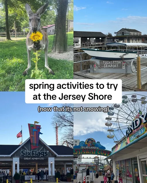 The snow is (hopefully) behind us and this weekend’s weather has us excited for spring. We’re SO ready to get outside again, tbh. Beach walks, boardwalk strolls, and those first sunny afternoons are going to hit different. Here are a few things we’ll be checking out... See the full list at TheJerseyShoreGirl.com 🎥+✍️: @Jessica Norton  #jerseyshoregirl #jerseyshore #monmouthcounty #capemay #newjersey