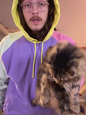 These are great for dealing with your cats hairballs #catsoftiktok #catlovers #cat #cattips #cattreats 