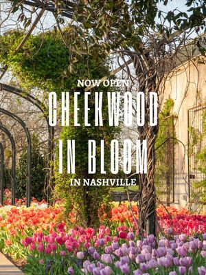 Spring has arrived at @Cheekwood! 🌷✨💐🌳   Cheekwood in Bloom opens today, featuring this year’s Red, White & Blooms theme honoring America’s 250th anniversary. With more than 250,000 blooms, the gardens are bursting with color for one of Nashville’s most beautiful spring traditions! 🌺   Text the group chat and stroll through vibrant tulips, colorful spring displays, and one of Nashville’s most beautiful seasonal traditions. 💐   #Nashville #MusicCity #LinkInBio #CheekwoodInBloom #SpringinNashville 