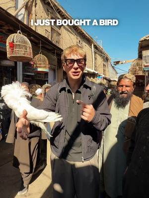This was one of the craziest things I’ve ever seen. This is the bird market in Kabul, which has been running for hundreds of years. And even crazier, we BOUGHT a bird😂 This is the kind of stuff I can’t wait to tell my kids someday.  Follow @malakai.barclay for more travel content 🌎  #traveltheworld #afghanistan #afghan #travelexperiences 