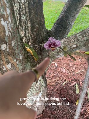 My mom planted them and never even mentioned it now I can call her and we can talk about our flowers 🥹