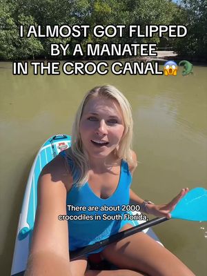 There’s no way I almost got flipped by a manatee into the Croc Canal 😱😳🐊 I noticed a boat approaching so I was keeping an eye on the manatees next to me. The water here is SUPER murky, so I wanted to make sure the captain could see where the group was so none of them accidentally got hit. But at that exact second, this manatee suddenly popped up from the depths RIGHT under me and we BOTH got spooked. Thankfully neither of us got hurt, and the boat safely passed without getting anywhere near the manatees. It’s a good reminder that when boating in areas with manatees, slowing down and staying alert can make a huge difference in protecting them🥹🩵  #crocodile #manatee #floridakeys #paddleboard #ocean 