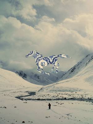 happy year of the horse #cinema 