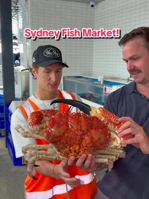 Trying all the best food at the new Sydney Fish Market in Australia!  Thanks so much to Tourism @Australia for the #sponsored travel :)  #sydneyfishmarket #seafood #fishmarket #kingcrab @Sydney Fish Market 