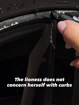 Unbothered 💅🏼 #carhack #homehack #magtouchup 