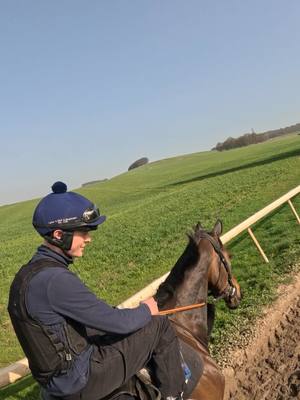 A morning with Old Park Star & Constitution Hill 🤝 While Constitution Hill will be missed at the festival, Old Park Star runs in the Grade 1 Supreme tomorrow 🤞🏼 #GoffsGrad#jockey #horseracing #racehorse