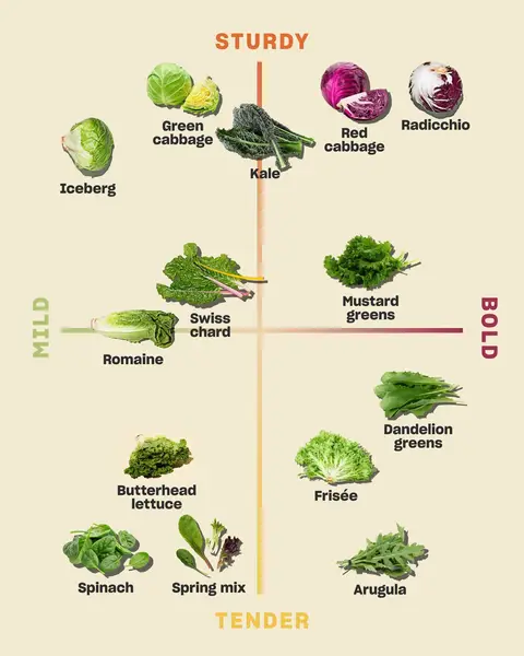 Lettuce help you find your leafy green personality, then head to our blog for new ways to use 'em beyond a classic salad. #misfitsmarket #leafygreens 