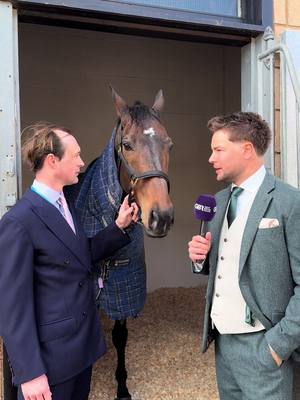 A horse that will always hold special memories for Nico 🫶 Constitution Hill greets the Cheltenham crowd once more today ❤️
