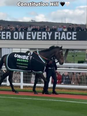 One last walk of the Cheltenham parade ring 🥺 #cheltenham #constitutionhill #cheltenhamfestival 