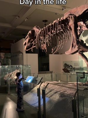 Day in the life of a Brooklyn mom: night at the museum edition‼️  @AMNH #ditl #nycmom #Vlog #nyckid 