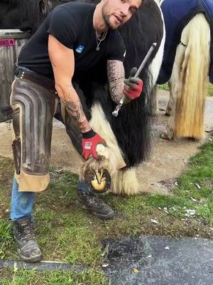 #farrier #farriersoftiktok #horses #asmr #satisfying 