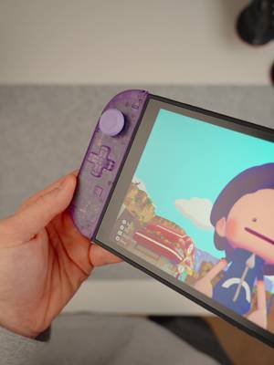 I made the Nintendo Switch 2 that Nintendo WONT...