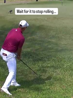 How many feet did the ball roll? 🤔 #golf #livgolf 