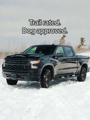 Built for the trails you've been eyeing, the Silverado Custom Trail Boss comes standard with a 2-inch factory lift and Z71 Off-Road Package.