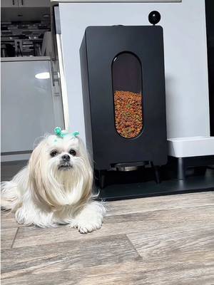 Modern dog feeder crafted for design-forward living and meaningful moments. I love how this setup actually looks beautiful in my kitchen while making feeding time with Kylie feel more intentional. @houndsy   #houndsy #dogfeeder #dogmomlife #dogtok #gifted  Modern dog feeder  Stylish pet feeder  Elevated dog bowl  Easy-to-use pet products  Dog feeding station  Pet feeding solution  Aesthetic dog bowl setup  Best dog bowls for messy eaters  Eco-friendly dog feeder  Minimalist pet essentials
