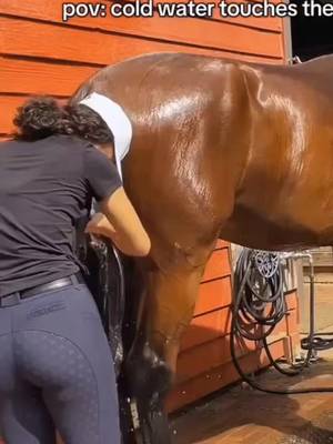 #farrier #farriersoftiktok #horses #asmr #satisfyingvideos 