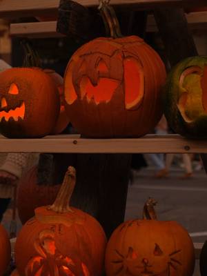 missing october🍂🍁🌬🎃🌙 #october ##fallvibes #autumnvibes #pumpkin #spookyseason 
