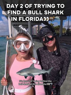 Why were there fish scraps in the water RIGHT by where the bull shark was…😳 Wait til the end for the best surprise!👀😱 Suit is from @Coral Swimwear X ! Use code Alyssa15 for 15% off🫶 💗Such an incredible dive with @talita! #freediving #ocean #sharks #marinelife #seahorses 