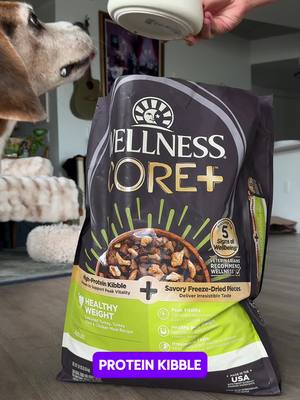 If you think "healthy weight" means "boring bowl," think again - we’re talking high-protein kibble mixed with actual freeze-dried turkey pieces 🦃✨ #healthyweight #feedwellbewell
