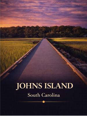 Johns Island in Charleston SC - travel time has increased since this video due to the popularity of the island and dramatic population increase, however, mileage wise and where the island is is still valid #johnsisland #charleston #charlestonrealestate #livingincharleston #charlestonscliving