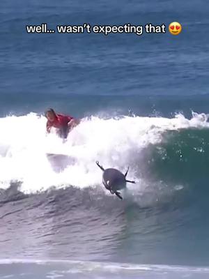 What a moment 💙 Laura Raupp meets the ultimate local #dolphins #dolphin #nature #sea 