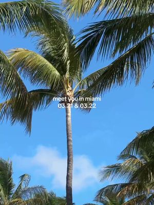 Meet us in Miami on March 21st & 22nd!🌴See details & RSVP using the link in our bio🤍