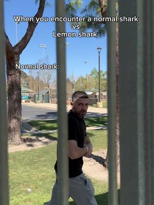 When you encounter a normal shark vs lemon shark. #fyp #humor #joke 