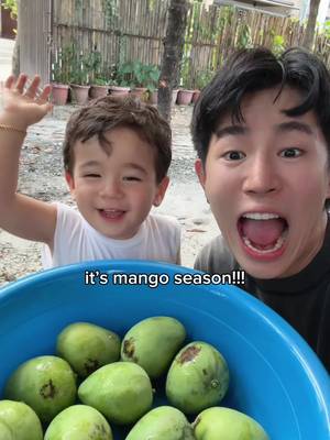 It’s mango season 😍