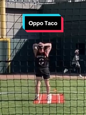 Somehow this pitch got driven out to right #oppotaco🌮 #blwwiffleball 