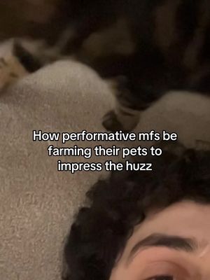 #fyp #performative #cat 