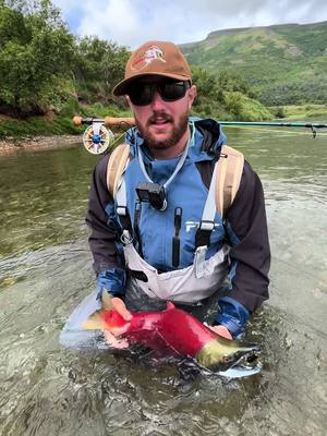 Each summer, sockeye salmon return from the Pacific to the rivers where they were born. In the ocean they’re bright chrome, but in freshwater they transform. Their bodies turn deep red, their heads dark green, and their teeth grow longer for competing on the spawning grounds. That red color comes from carotenoid pigments built up while feeding on shrimp and krill in the ocean. #meateater #fueledbynature #fyp #alaska #fishtok