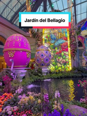 La primavera llegó a Bellagio 🌸✨ Recorre el jardín lleno de flores y magia, totalmente gratis y displonible hasta el 16 de mayo.  📍 @Bellagio Las Vegas  #VegasAttractions #LasVegas #VisitaLasVegas  