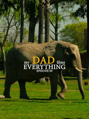 Episode 09: Zoo Day🐅🐘 #dadlife @Fresno Chaffee Zoo 