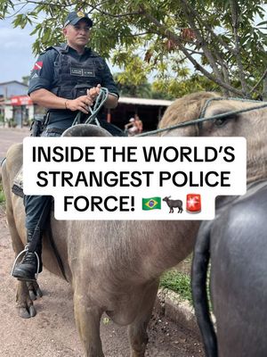 🇧🇷 Meet the real life Buffalo Soldiers! A battalion of around 200 police officers based on Marajó Island in northern Brazil. This remote island is bigger than Switzerland and floods for half the year, turning huge areas into mangrove swamps. In terrain like this cars bikes and even boats struggle to get around so the police patrol and chase criminals on water buffalo. I was lucky enough to spend the day patrolling with them and what I saw blew me away 🐃  #travel #brasil #brazil #pará #viral 