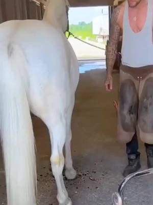 #farrier #farriersoftiktok #horses #asmr #satisfying 