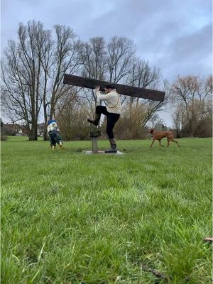 2 planks find a plank. #leicestershire #vizsla #baby #fy 