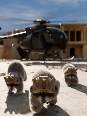 Package secured. 🦝 #BRCC 