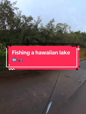 I Fished a Hawaiian Lake 🐟🎣 #fishing 