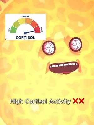 High cortisol ❌ Low cortisol ✅