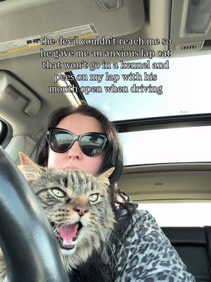 he’s just a boy 🖤 #cat #kitty #funny #cats #animal 