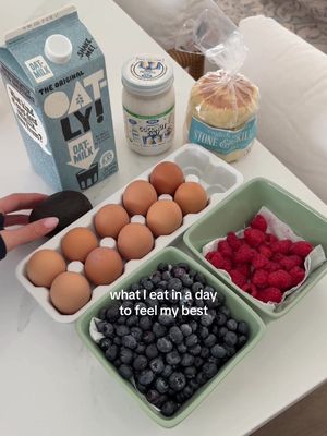 haven’t posted one of these in awhile but here’s a day of eating if you’re looking for some meal/snack inspo! 🫐🍯 #whatieatinaday #healthyfood #mealideas #healthydinner #easymeals 