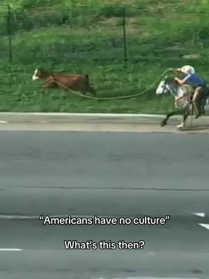 In Oklahoma City in 2022, a loose cow wandered onto I-40 near Penn Ave, causing traffic chaos. Officers couldn't contain it, so they called local cowboys who lassoed and wrangled it safely off the highway. Via: KOCO 5 helicopter footage.