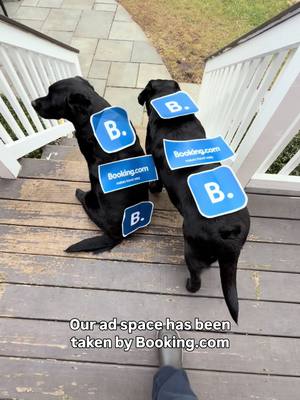 Booking.com Booking.stink