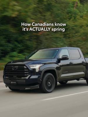 Spring looks a little different here... what sign do you look for to know it's ✨officially✨ arrived?