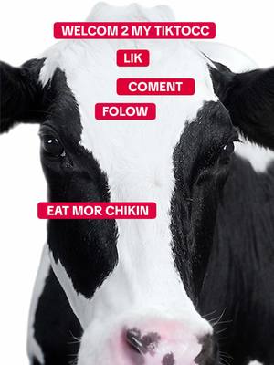 24/7 chikin content